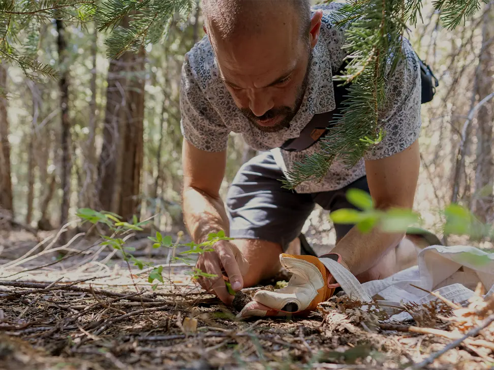 Get to know your mushrooms